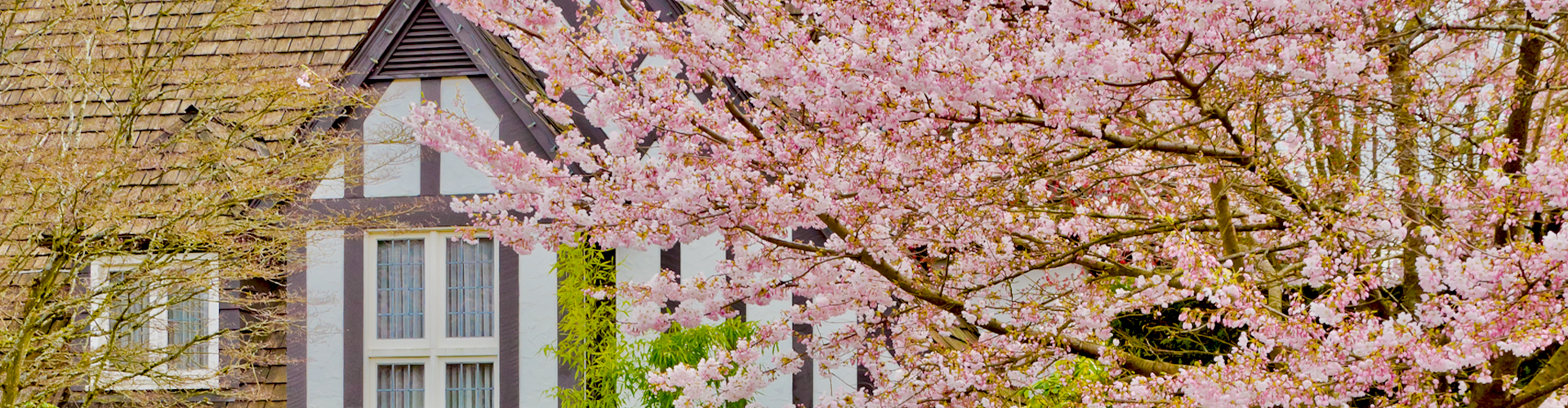 Property in Wolverhampton, Bridgnorth, Wombourne, Worcestershire