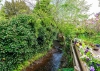 3 Church Meadow, Shifnal, TF11 9AD