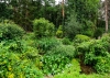 Evelith Mill Cottage, Evelith, Shifnal