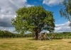 The White House, Annexe and Equestrian Facilities, Hilton, Shropshire