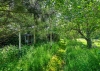 Willowbrook Cottage, Tong Norton, Shifnal, TF11 8PZ