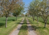 Park  House, Lapley, South Staffordshire, ST19 9JT