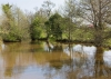 Park  House, Lapley, South Staffordshire, ST19 9JT