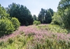 Spring Cottage, 2 Hall Road, Ditton Priors, Bridgnorth
