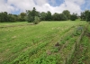 Grazing Land for Sale, (opposite The Manor), Seisdon Road Trysull