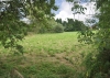 Grazing Land for Sale, (opposite The Manor), Seisdon Road Trysull