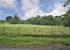 Grazing Land for Sale, (opposite The Manor), Seisdon Road Trysull