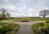 Home Wood, Gatacre Hall, Claverley